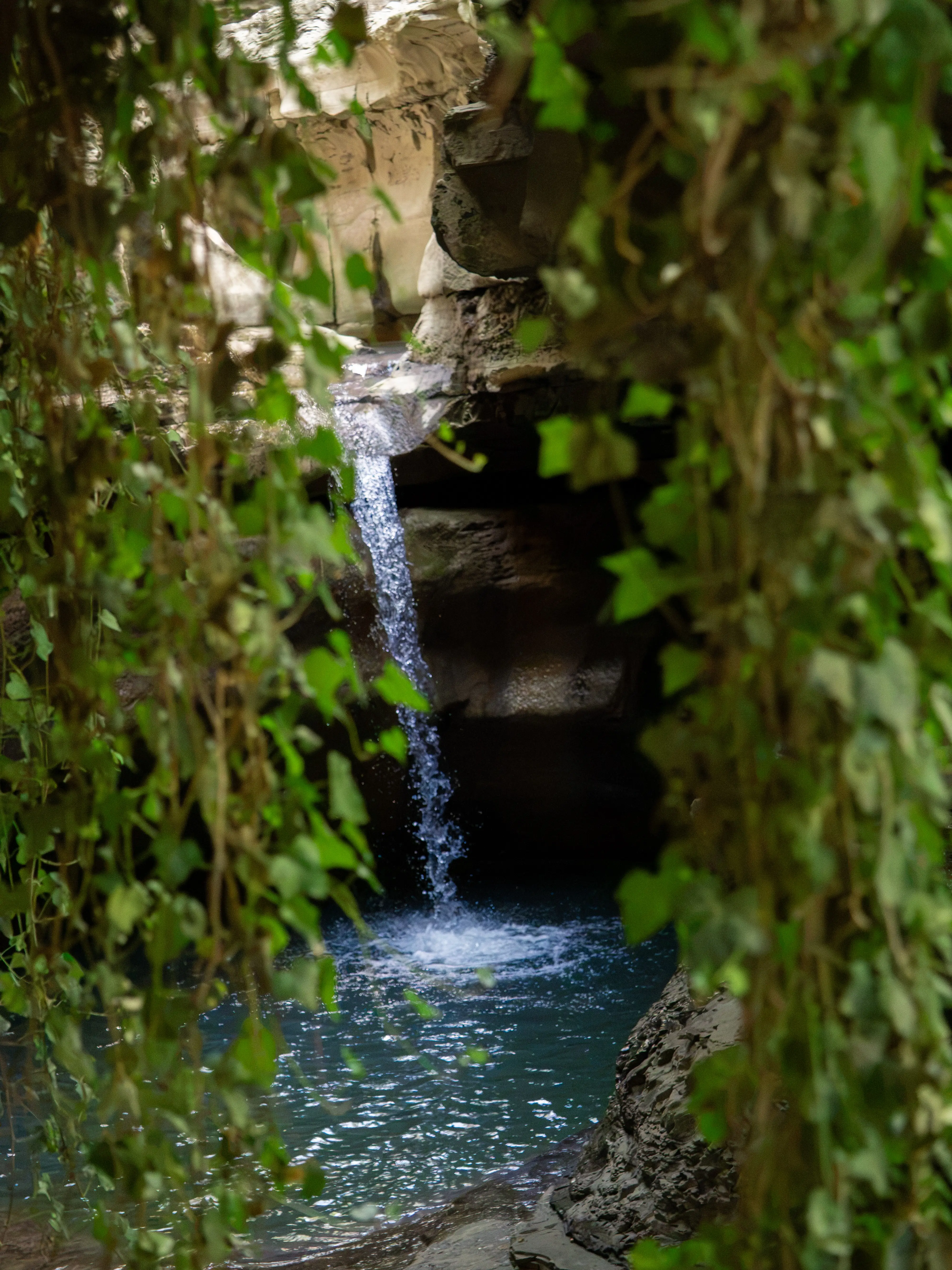 Cascata delle grotte urlante con edera